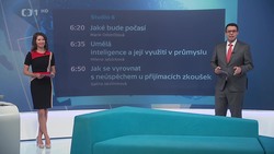 Obrázek