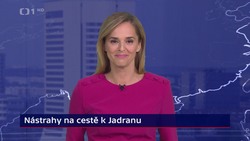 Obrázek