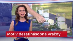 Obrázek
