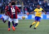 фотогалерея Bologna FC - Страница 3 0055c4693131833