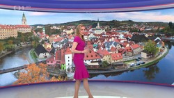 Obrázek