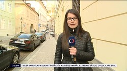 Obrázek