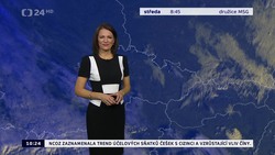 Obrázek