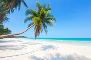 Тропический остров и пляж / Beautiful tropical island and beach Cfbc4b1190116914