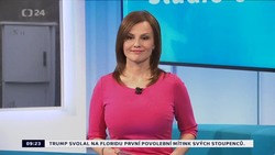 Obrázek
