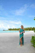 http://thumbs2.imagebam.com/bb/36/36/e8195a1032948404.gif