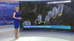 Obrázek