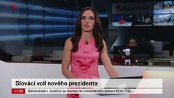 Obrázek