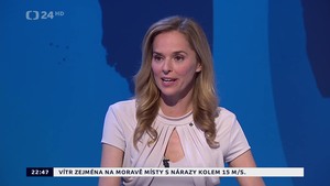 Obrázek