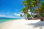 Тропический остров и пляж / Beautiful tropical island and beach A7adf81190116524