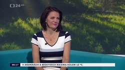 Obrázek