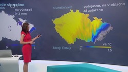 Obrázek