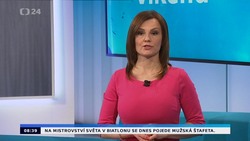 Obrázek
