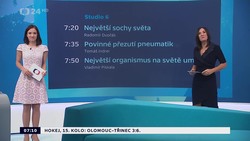 Obrázek