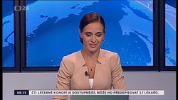 Obrázek