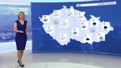 Obrázek