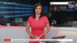 Obrázek