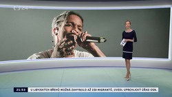 Obrázek