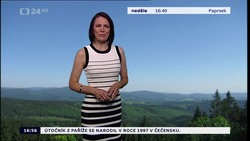 Obrázek