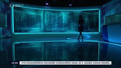 Obrázek
