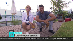 Obrázek