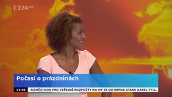 Obrázek