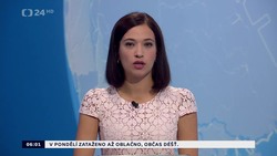 Obrázek
