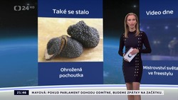 Obrázek