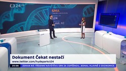 Obrázek