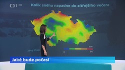 Obrázek