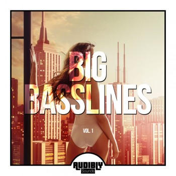 Big Basslines Vol. 1 (2019) Full Albüm İndir Big Basslines Vol. 1 (2019) Full Albüm İndir