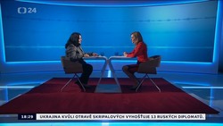 Obrázek