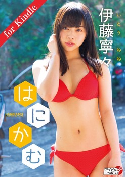 imagebam.com