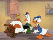 Сокровища Уолта Диснея: Хронология Дональда / Walt Disney Treasures: The Chronological Donald (2004) 5bc734681560023