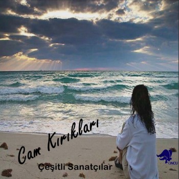Çeşitli Sanatçılar - Cam Kırıkları (2019) Full Albüm İndir Çeşitli Sanatçılar - Cam Kırıkları (2019) Full Albüm İndir