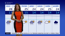 Obrázek