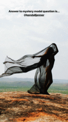 http://thumbs2.imagebam.com/d6/6e/fb/78c9bf1170680384.gif