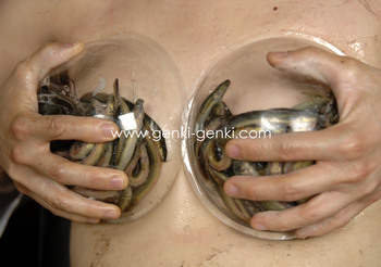 imagebam.com