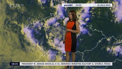 Obrázek