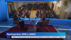 Obrázek