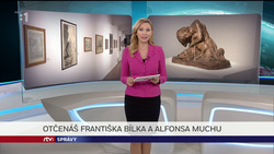 Obrázek