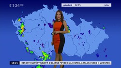 Obrázek