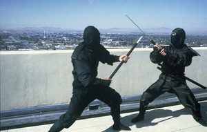 Месть ниндзя / Revenge of the Ninja (1983)  312ffd810378893