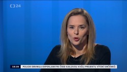 Obrázek