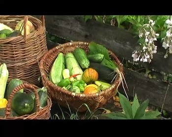 Строителю родового поместья и земледельцу (Видеокурс)