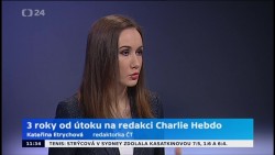 Obrázek