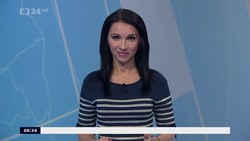 Obrázek