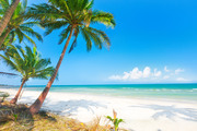 Тропический остров и пляж / Beautiful tropical island and beach Db8c271190116904