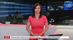 Obrázek