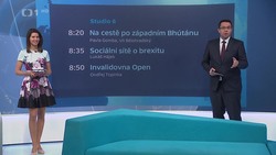 Obrázek